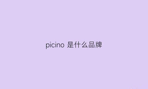 picino 是什么品牌